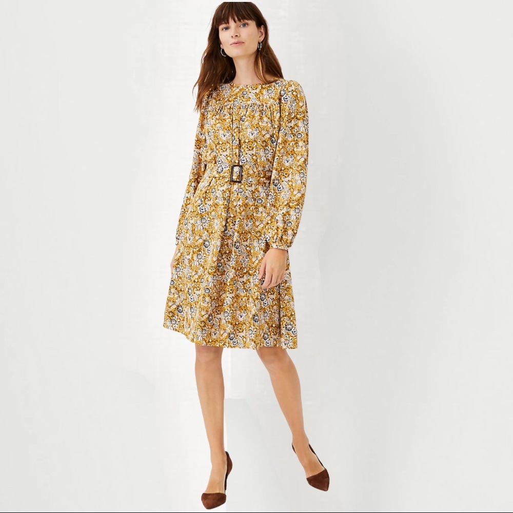 Ann Taylor Heritage Floral Belted Flare Dress 10 NWOT